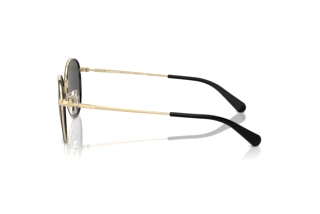 Seitenansicht Coach CR631 (HC7163 - 934687)