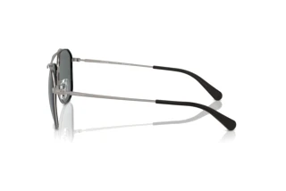 Seitenansicht Coach CR626 (HC7164 - 936881)