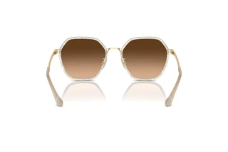 Rückansicht Coach CS543 (HC7167B - 944374)