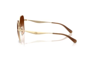 Seitenansicht Coach CW189 (HC7168 - 900574)