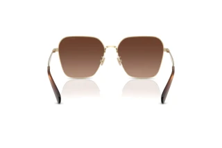 Rückansicht Coach CW189 (HC7168 - 9005T5)