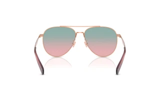 Rückansicht Coach CW193 (HC7169 - 93310Q)