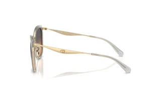 Seitenansicht Coach CW185 (HC7170 - 945018)