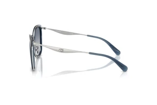 Seitenansicht Coach CW185 (HC7170 - 945235)