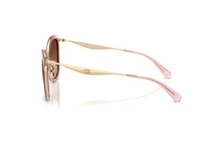 Seitenansicht Coach CW185 (HC7170 - 9469T5)