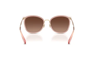 Rückansicht Coach CW185 (HC7170 - 9469T5)