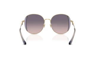 Rückansicht Coach CAD73 (HC7176B - 900536)