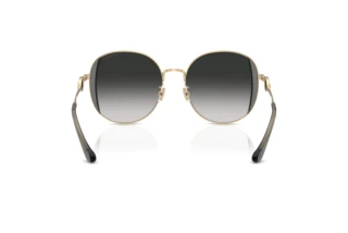 Rückansicht Coach CAD73 (HC7176B - 90053C)