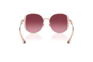 Rückansicht Coach CAD73 (HC7176B - 93318H)