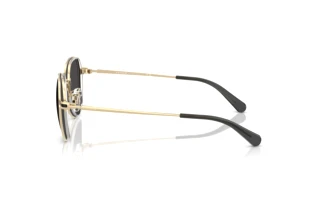 Seitenansicht Coach CAE81 (HC7179 - 900587)