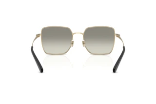 Rückansicht Coach CBZ51 (HC7184D - 94643C)