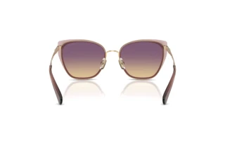 Rückansicht Coach CDP56 (HC7187 - 948570)