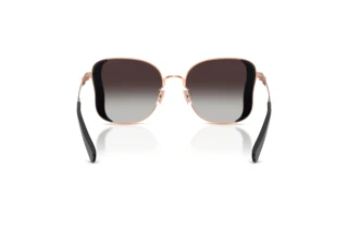 Rückansicht Coach CDP51 (HC7188 - 94078G)