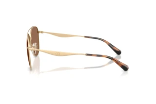 Seitenansicht Coach CDP40 (HC7190 - 900513)