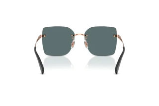 Rückansicht Coach CDP45 (HC7193D - 94071U)