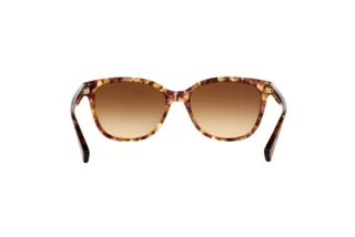 Rückansicht Coach L109 (HC8132 - 528713)