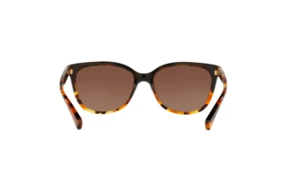 Rückansicht Coach L109 (HC8132 - 5438T5)