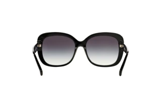 Rückansicht Coach L139 (HC8158 - 500211)