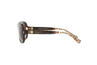 Seitenansicht Coach L149 (HC8169 - 535313)