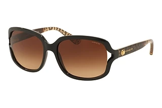 Coach HC8169 535313 Brown GradientBlack