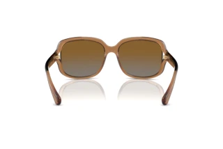 Rückansicht Coach L149 (HC8169 - 5561T5)