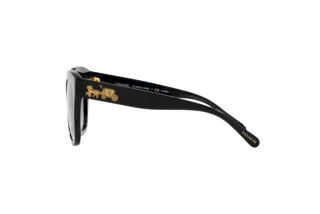 Seitenansicht Coach L1083 (HC8264 - 5002T3)