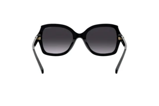 Rückansicht Coach L1147 (HC8295 - 50028G)