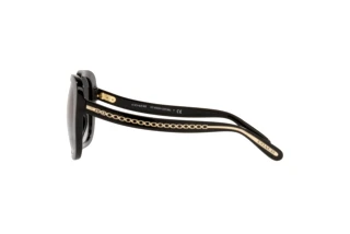 Seitenansicht Coach C6185 (HC8323U - 50028G)