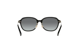 Rückansicht Coach C6199 (HC8332D - 500211)