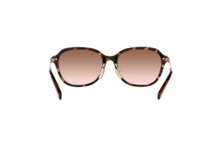 Rückansicht Coach C6199 (HC8332D - 512013)