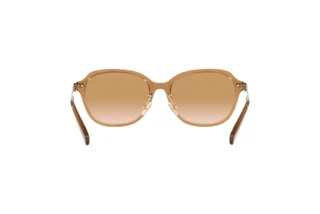 Rückansicht Coach C6199 (HC8332D - 565413)