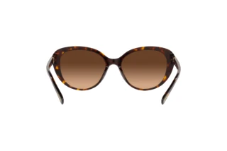 Rückansicht Coach CD479 (HC8348U - 512074)