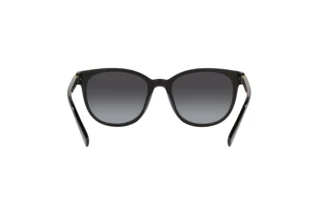 Rückansicht Coach CD478 (HC8350U - 50028G)