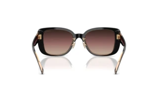 Rückansicht Coach CD472 (HC8352 - 5781E2)