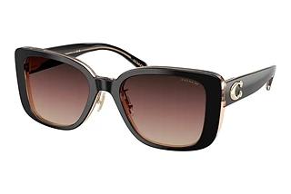 Coach CD472 HC 8352 5781E2