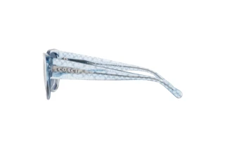 Seitenansicht Coach CH563 (HC8362U - 574080)