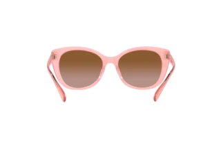 Rückansicht Coach CH566 (HC8365U - 574313)