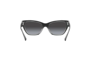 Rückansicht Coach CH570 (HC8370U - 57458G)