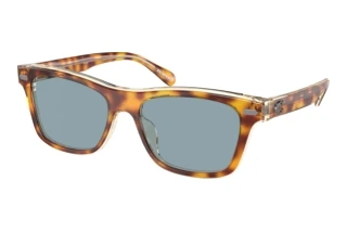 Vorderansicht Coach CH583 (HC8371U - 575672)