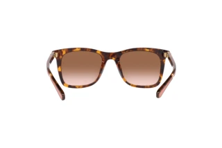 Rückansicht Coach CH561 (HC8374U - 512013)