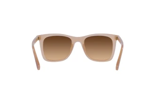 Rückansicht Coach CH561 (HC8374U - 574774)