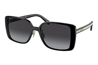 Coach CH562 HC 8375 50028G