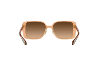 Rückansicht Coach CH562 (HC8375 - 574974)