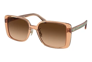 Coach HC8375 574974 Brown GradientTransparent Saddle