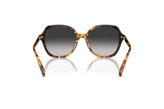 Rückansicht Coach CL925 (HC8377U - 577613)