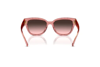 Rückansicht Coach CL920 (HC8379U - 583646)