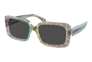 Vorderansicht Coach CL922 (HC8380U - 583587)