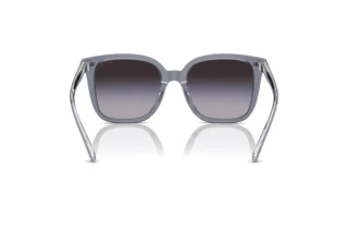 Rückansicht Coach CL918 (HC8381U - 57808G)