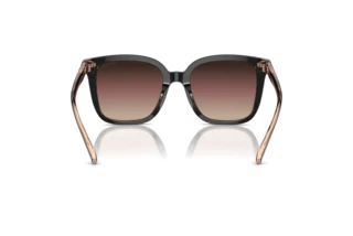 Rückansicht Coach CL918 (HC8381U - 5781E2)