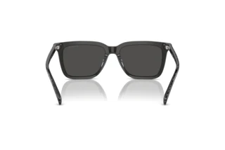 Rückansicht Coach CL910 (HC8385U - 579387)